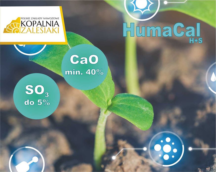 *** HumaCal H+S *** czarna kreda - GAJEWSCY [woj. podlaskie]