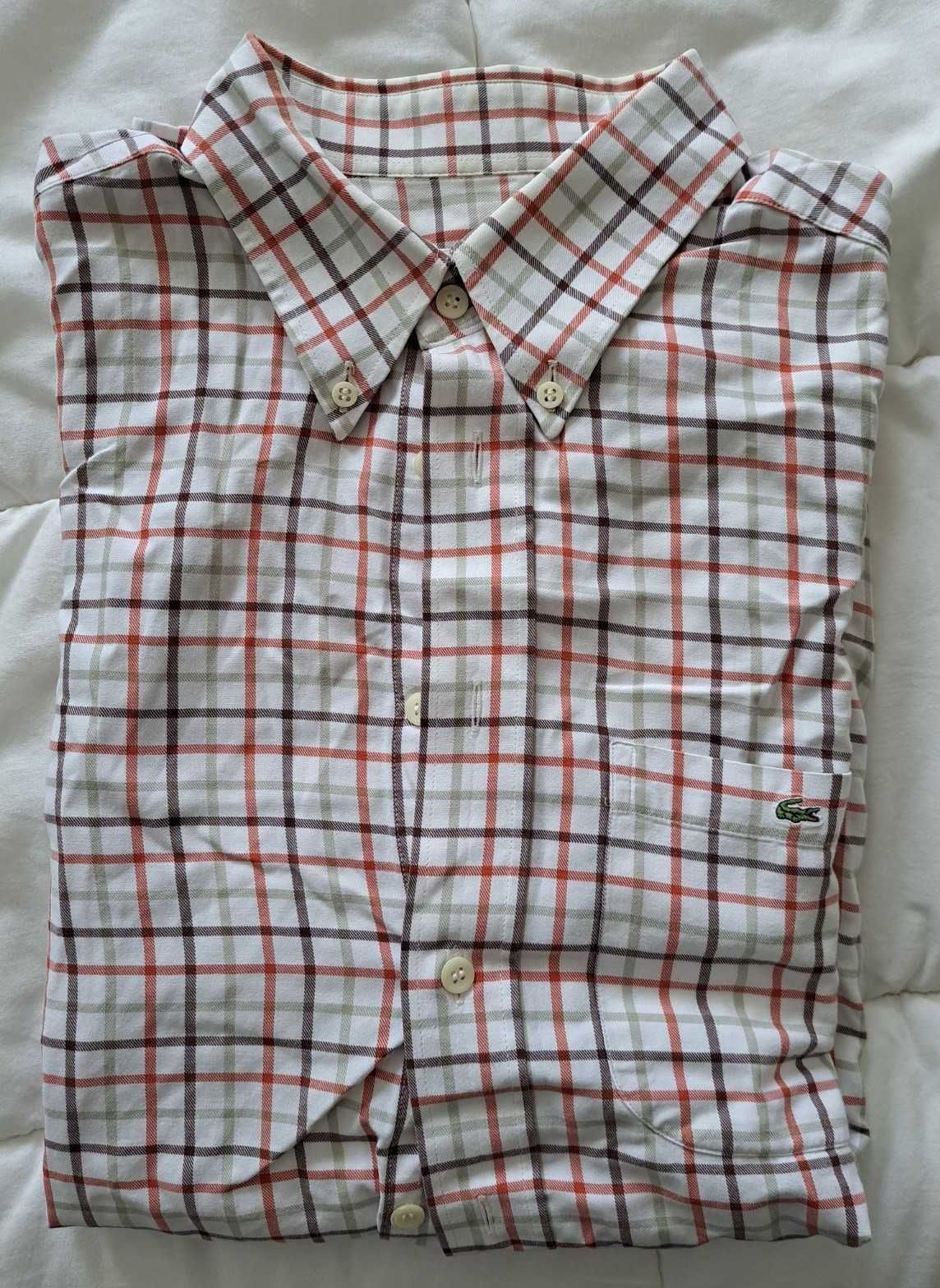 Conjunto/pack camisa e camisola Lacoste