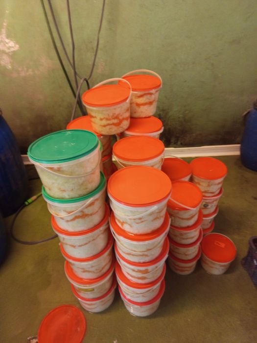 Warzywa dostawa gratis zapraszamy