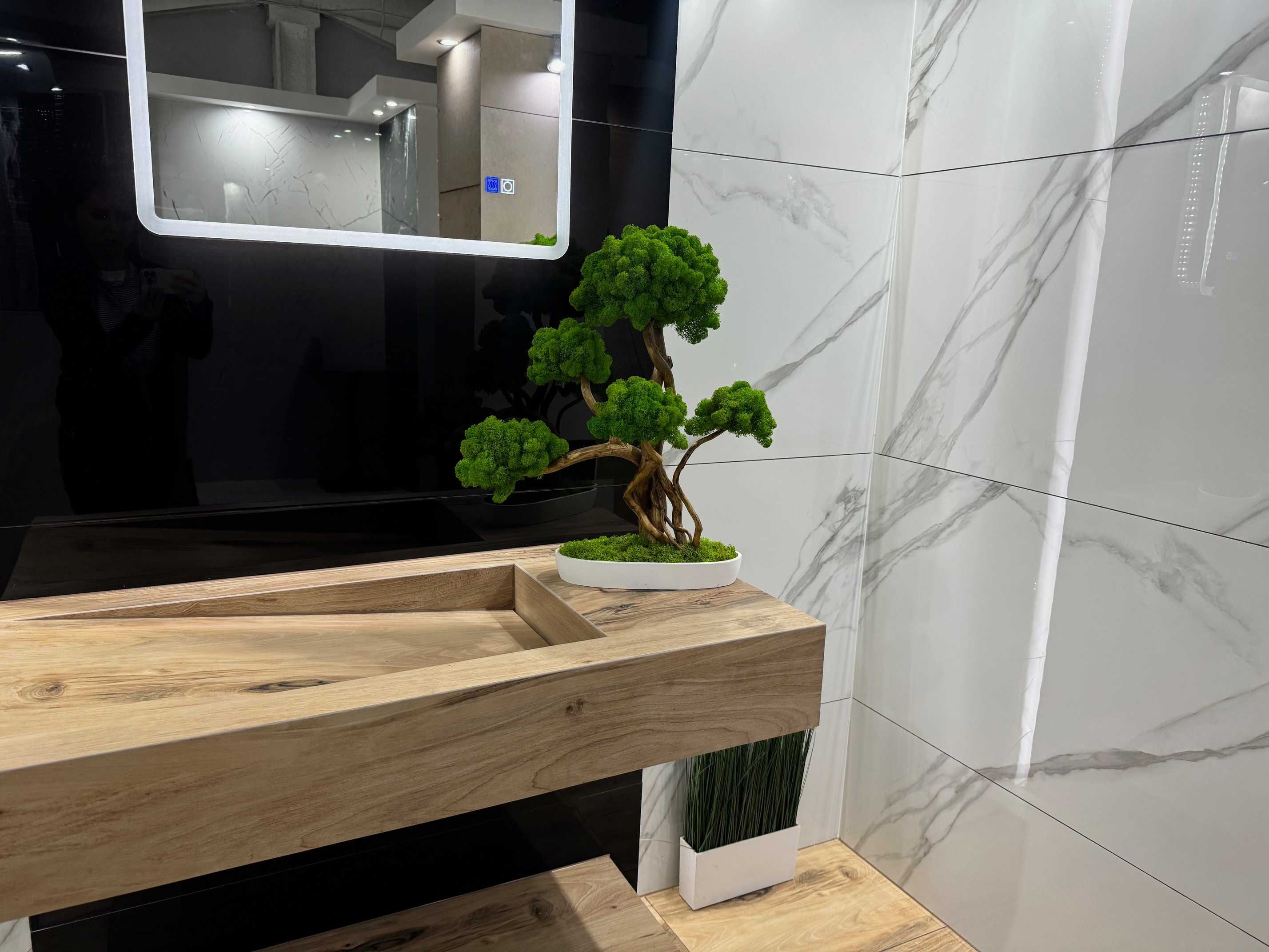 Duże drzewko Bonsai z mchu chrobotka 52 CM; chrobotek reniferowy