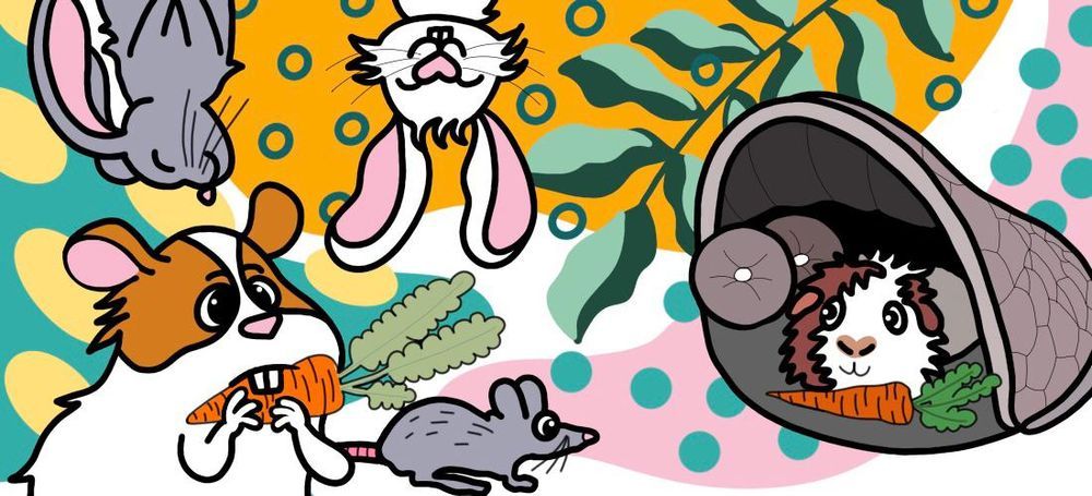 mata materac do klatki dla fretki świnki morskiej szczura 140x70cm