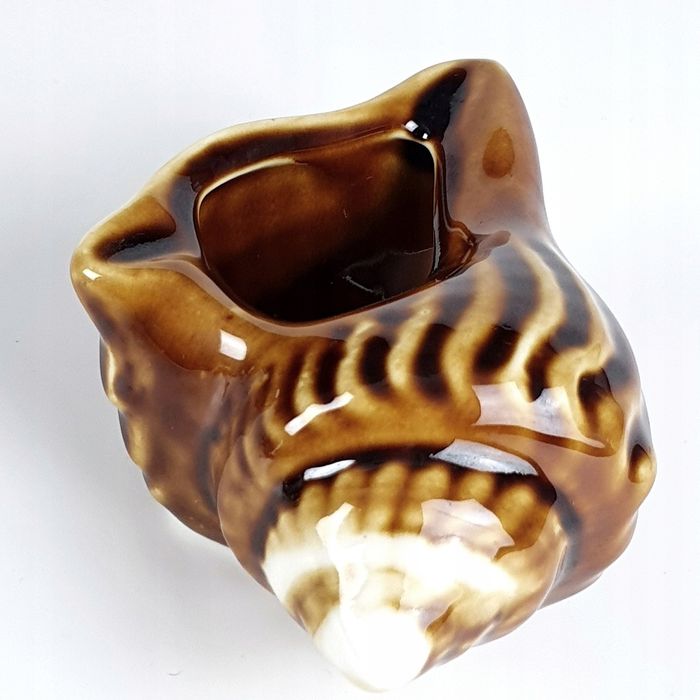 Muszla Piękna Chińska Popielniczka