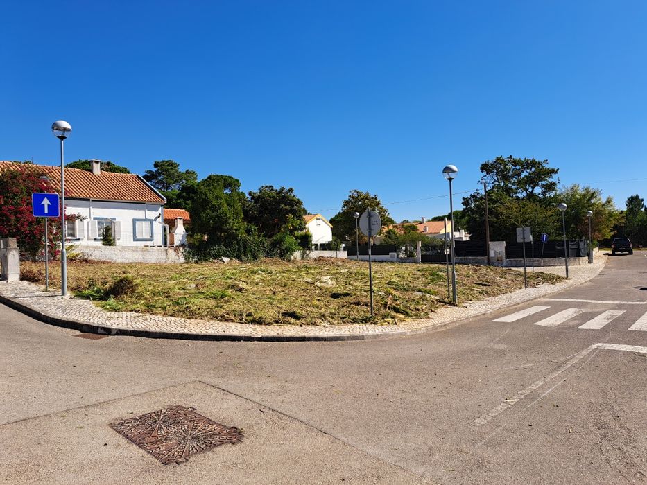 Limpeza de terrenos jardins vedações