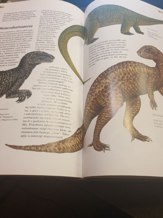 Dinozaury wiedza w pigułce książka