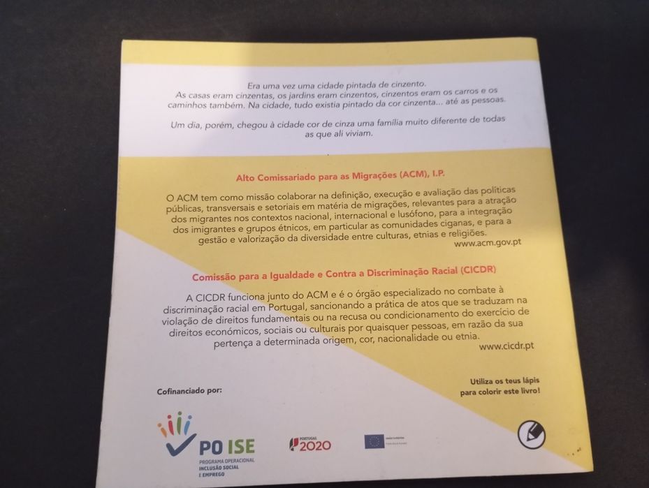 Livro " As cores da cidade cinzenta"