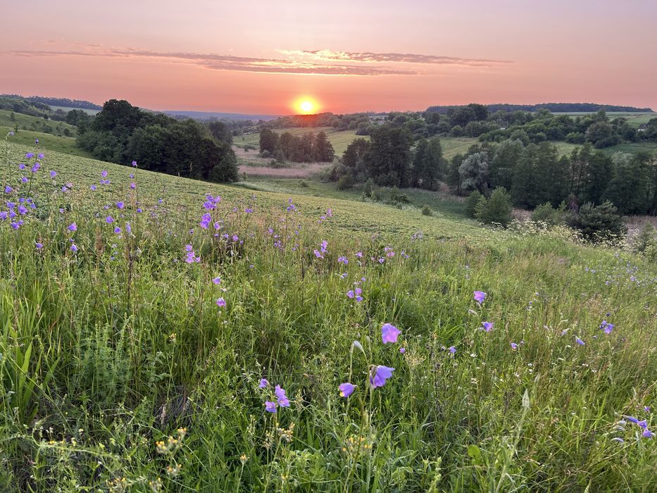 Мальовнича ділянка 1,3 га з річкою та лісосадом. Богуслав