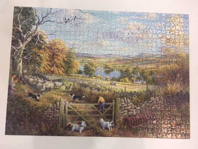 puzzle 1000-HOP- Liczenie owiec  -Trudne