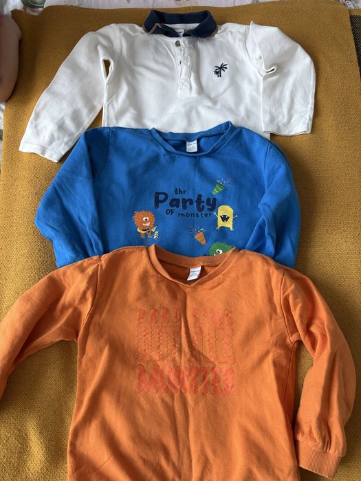 Світшоти на флісі 4-5 років Вайкікі