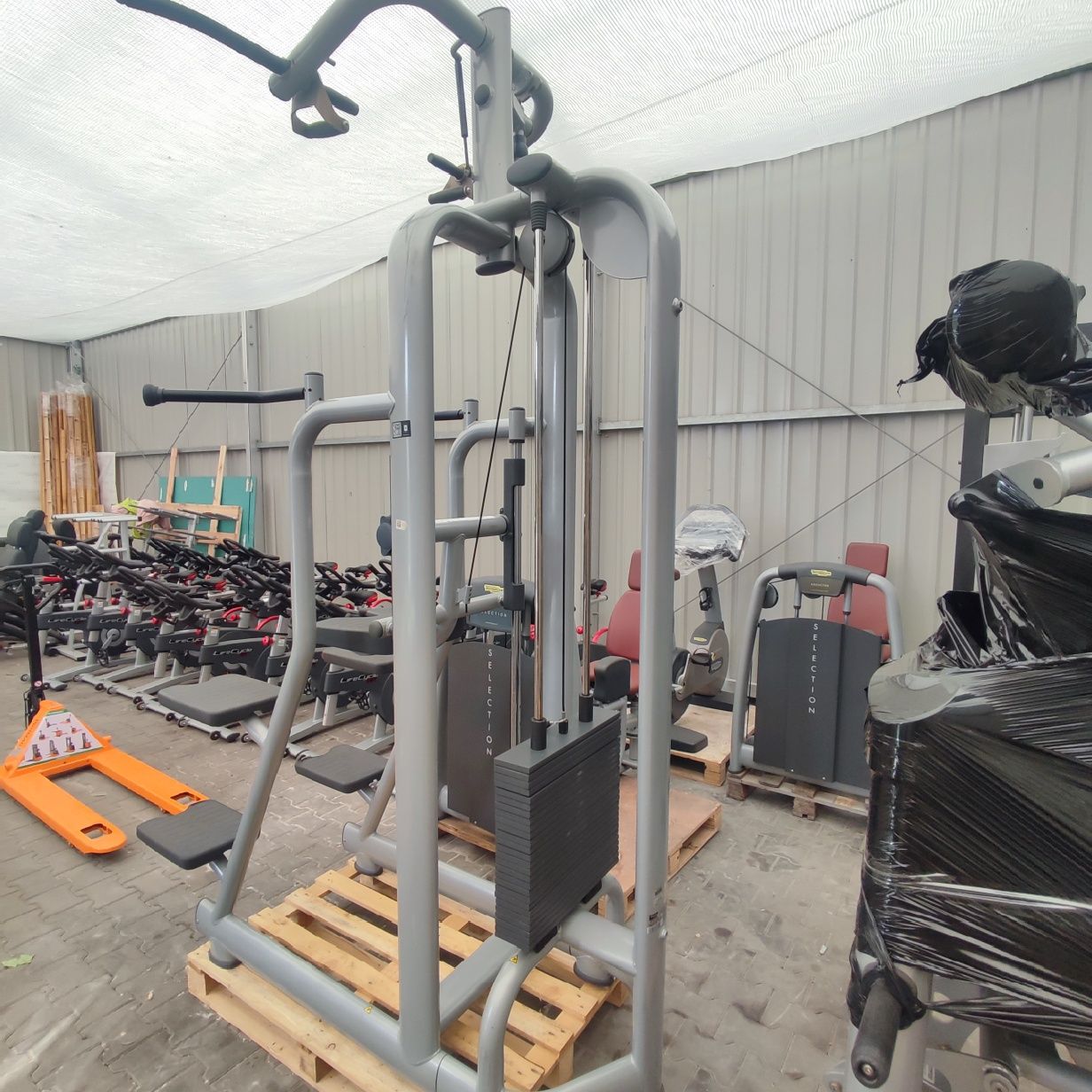 Asystent podciągania Technogym