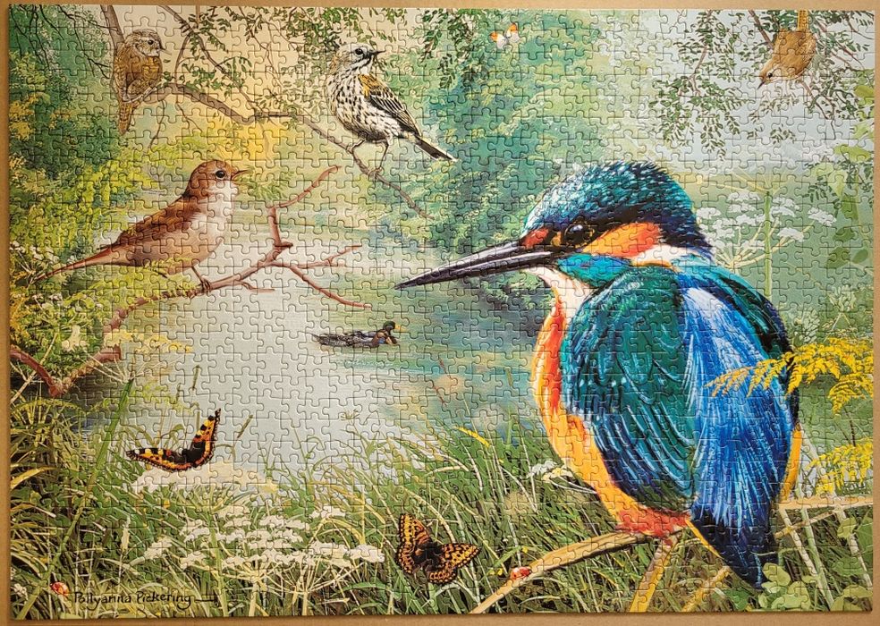 Otter House 1000, Nature Reserve nr 75805, zimorodek, kaczki, jezoro