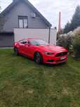 Mustang GT 5.0 440 KM