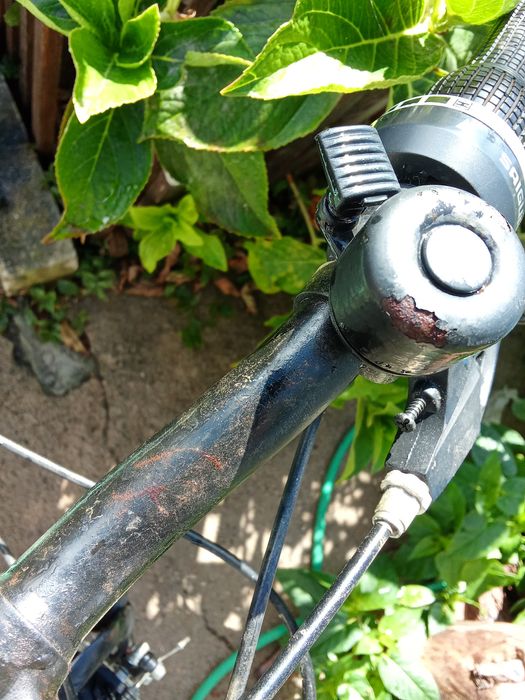 mtb track neon bicicleta montanha verde