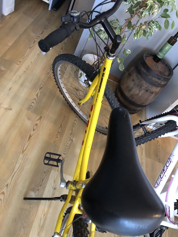 Bicicleta de senhora