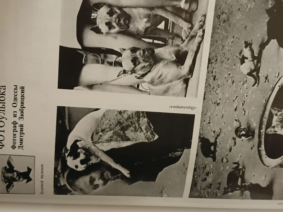 Фото'89 Альманах