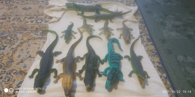 Крокодилы разных размеров