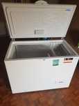 Arca Horizontal INDESIT OS 1A 300 H2 (Estático-118cm-311L-Branco]