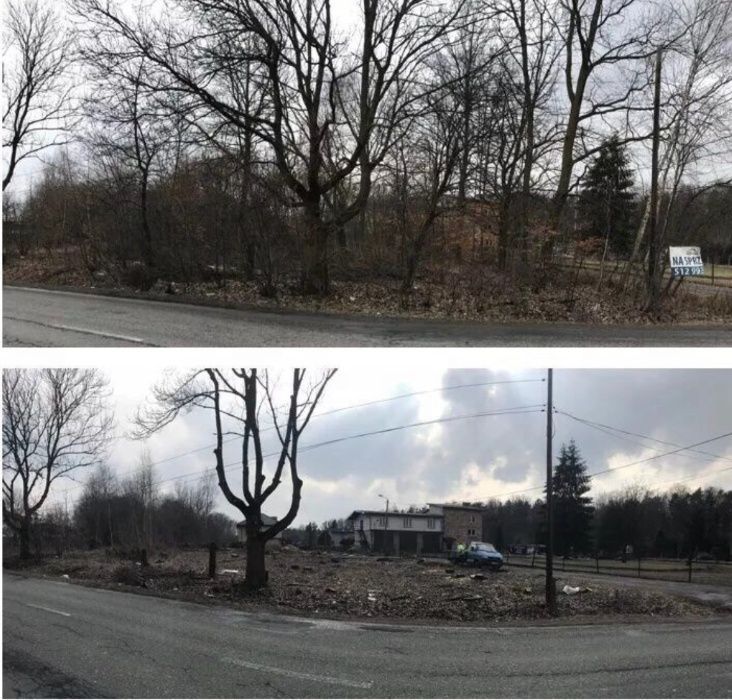 Wycinka pielęgnacja podcinanie drzew, karczowanie, frezowanie pni,