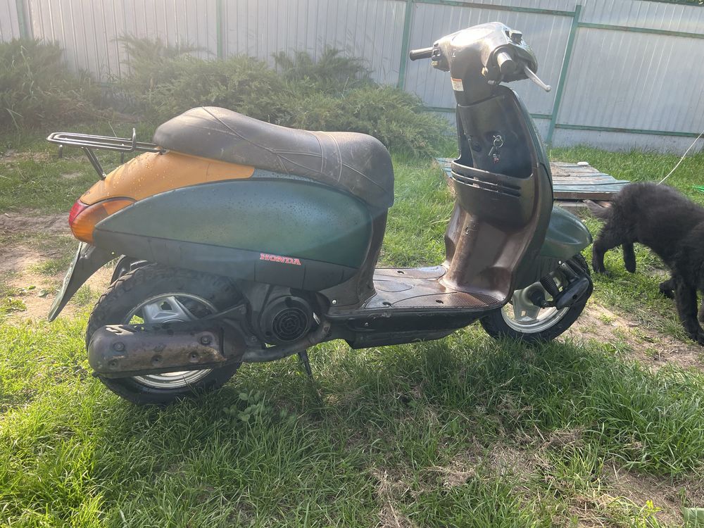 Продам скутер хонда такт аф 51