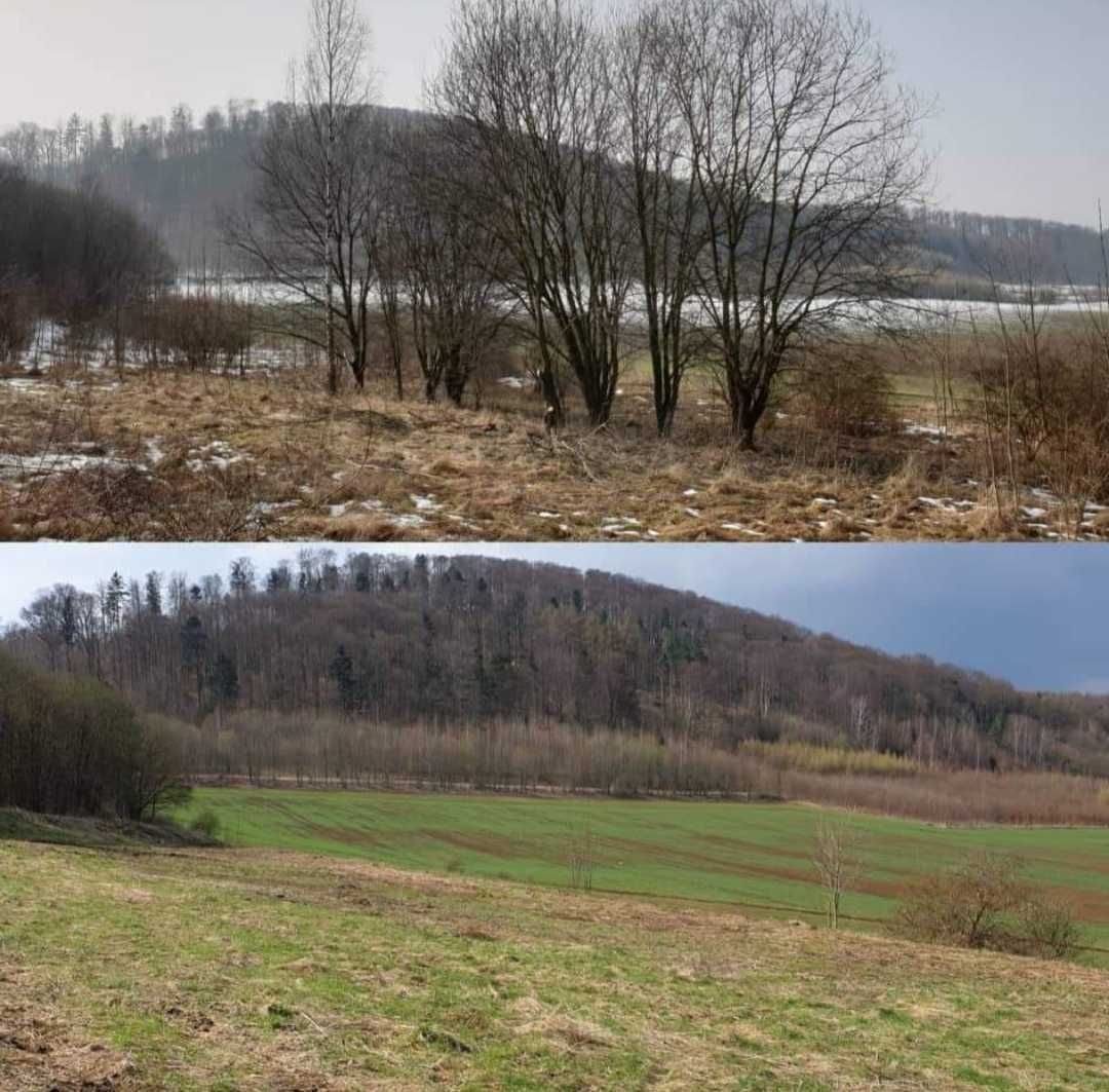 Koszenie działek zarośli, wycinka drzew wycinanie karczowanie ogrodzen