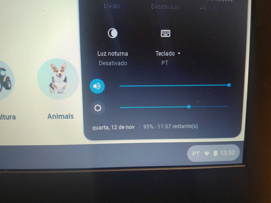 Portatil ASUS C300 13"