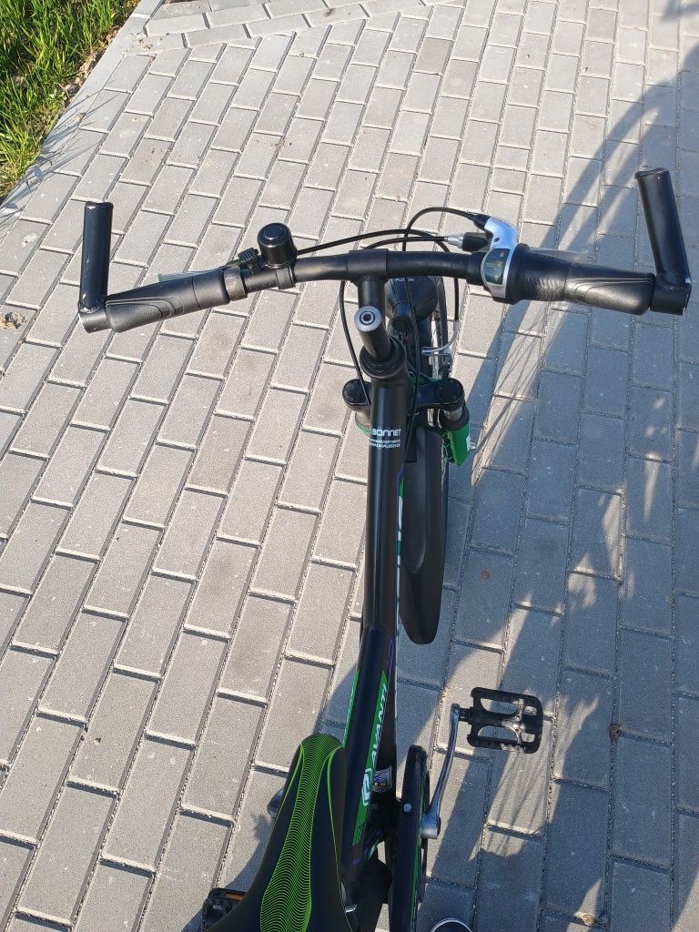 Rower Pegasus Avanti