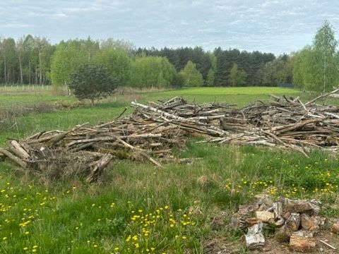 Drzewo  na opal  sezonowane 2 lata