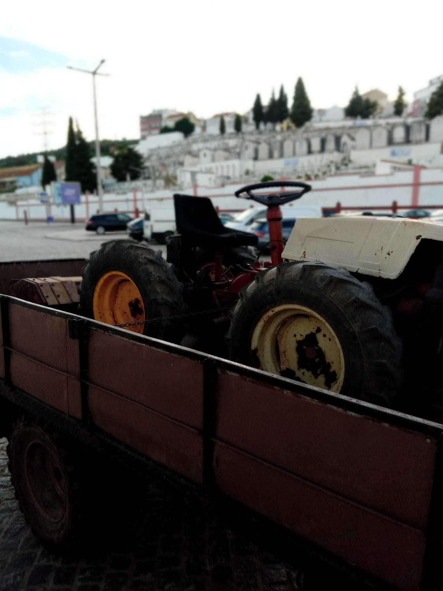 Trator articulado tração ás 4 pasqual 21Cv