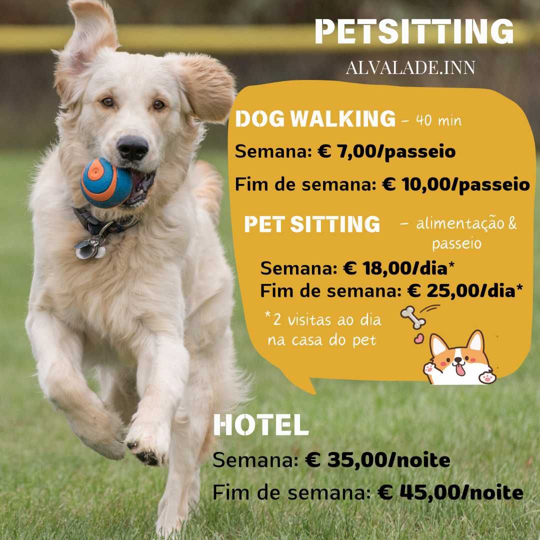 Petsitting & Dog Walking | Alvalade Inn