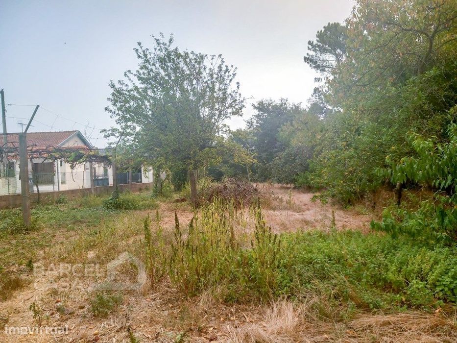 Terreno de construção em Galegos (São Martinho) - Barcelos