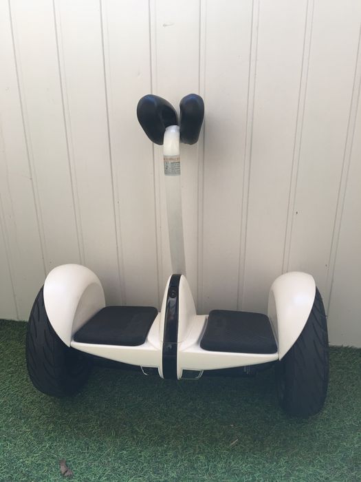 Segway Ninebot S