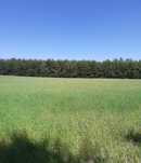 Działka rolno budowlana 3808 m2