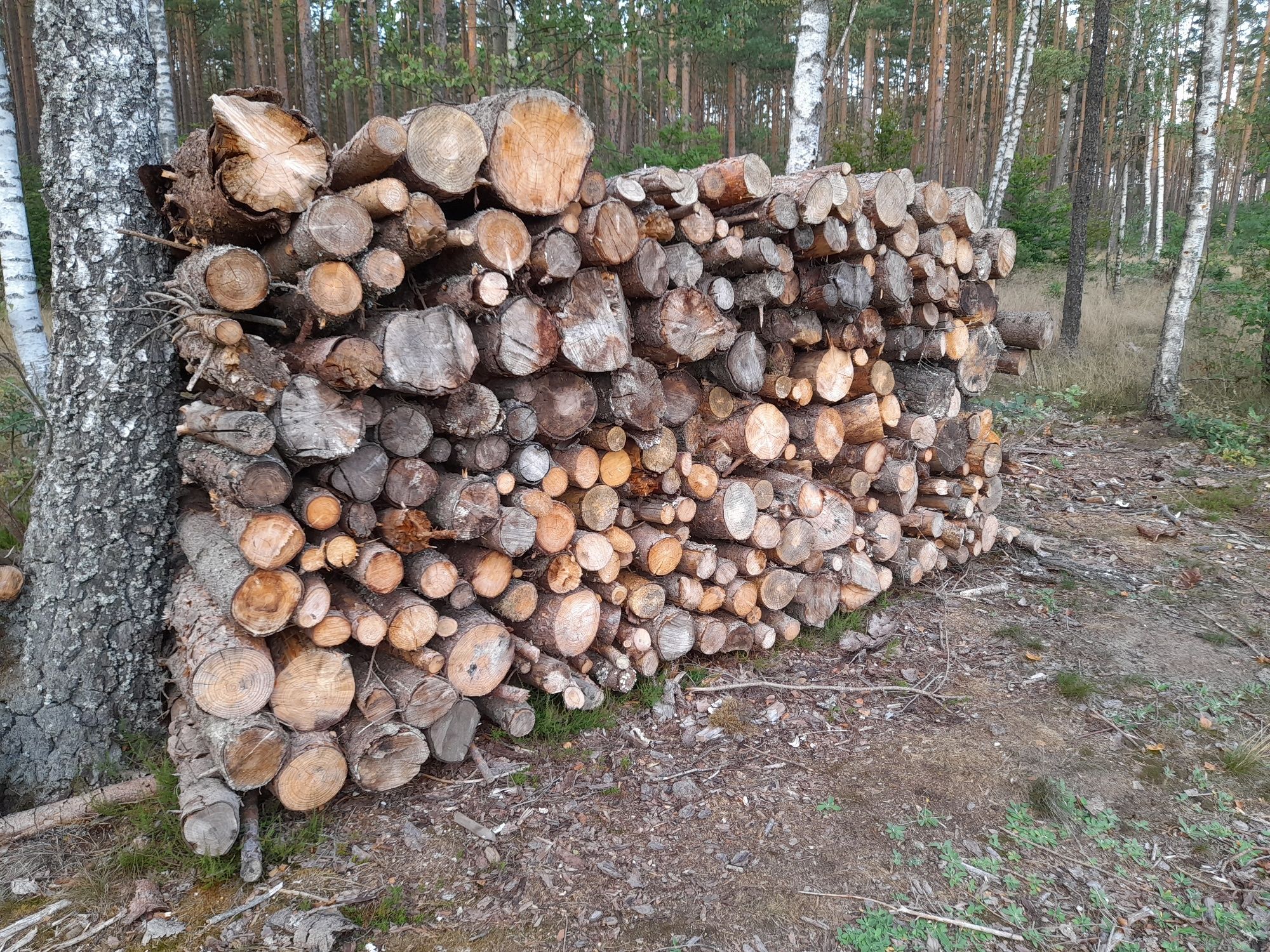 Sprzedam drewno opałowe świerk, sosna