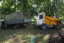 Wycinka Drzew-DUŻY RĘBAK DO GAŁĘZI Wlot 50 Podnośnik Koszowy 25m Pająk