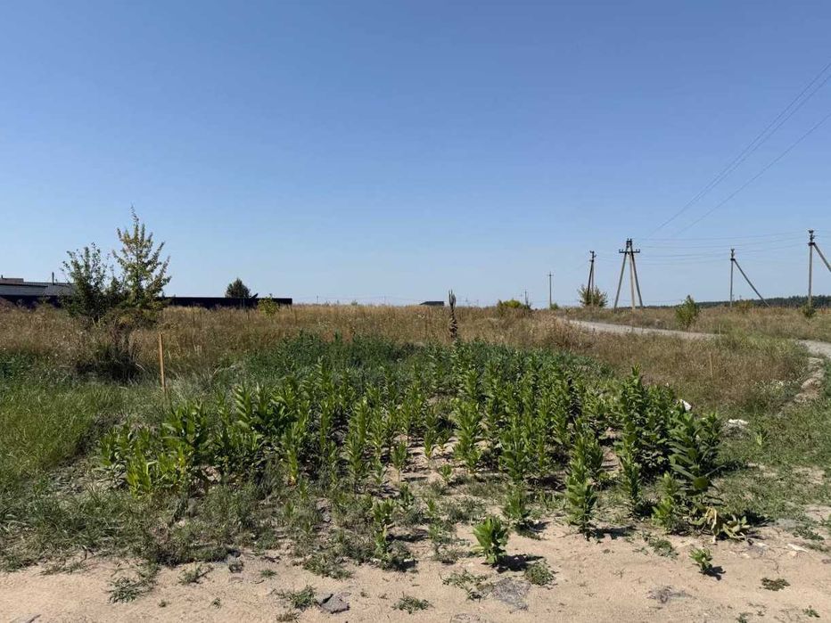 Продаж ділянки 19,28сот під забудову. Двохфасадна.Світло поруч. ID:717