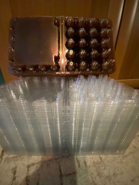 Лотки (упаковка, контейнеры) для перепелиных яиц (54 шт)