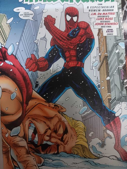 Homem Aranha  actos de loucura