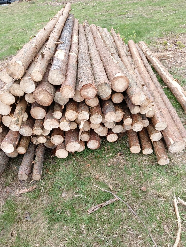 Stemple budowlane słupki ogrodzeniowe żerdzie drewno użytkowe
