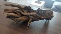 Dekoracyjna gałąź z drzewa ozdobnego typu driftwood