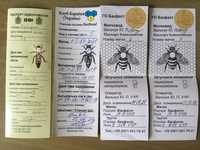 Бакфаст, Карніка бджолопакети (рамка 300)