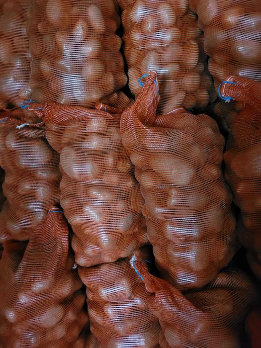 Ziemniaki jadalne Soraya, Bellarosa, Gala – ekologiczne