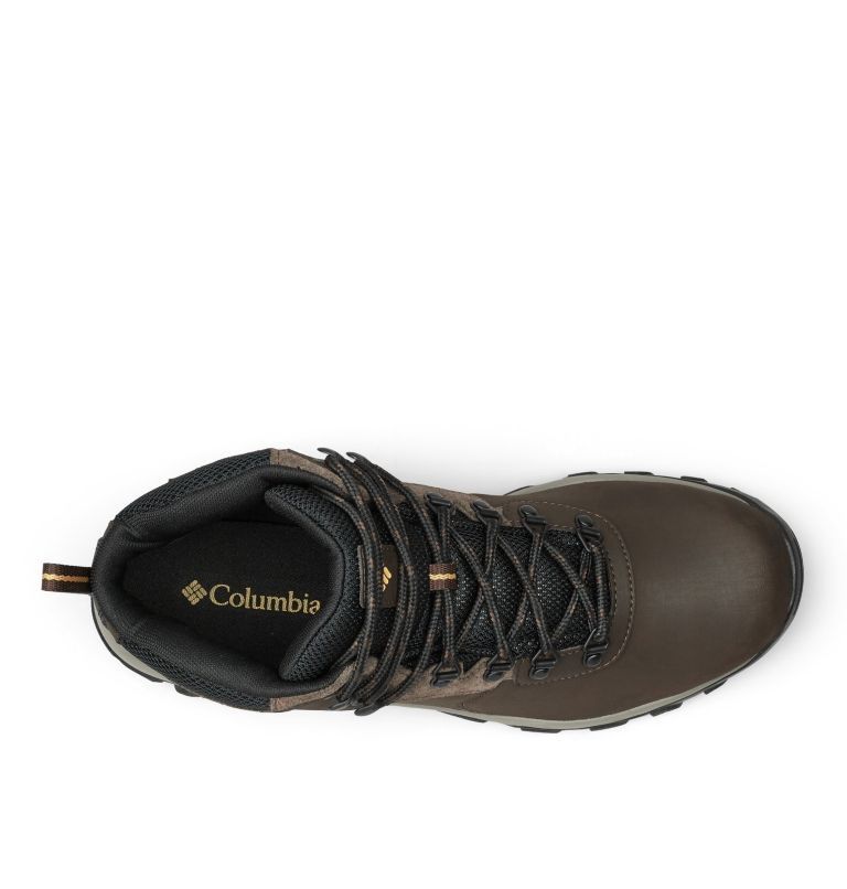 Мужские ботинки Columbia newton ridge™ plus ii waterproof hiking,44