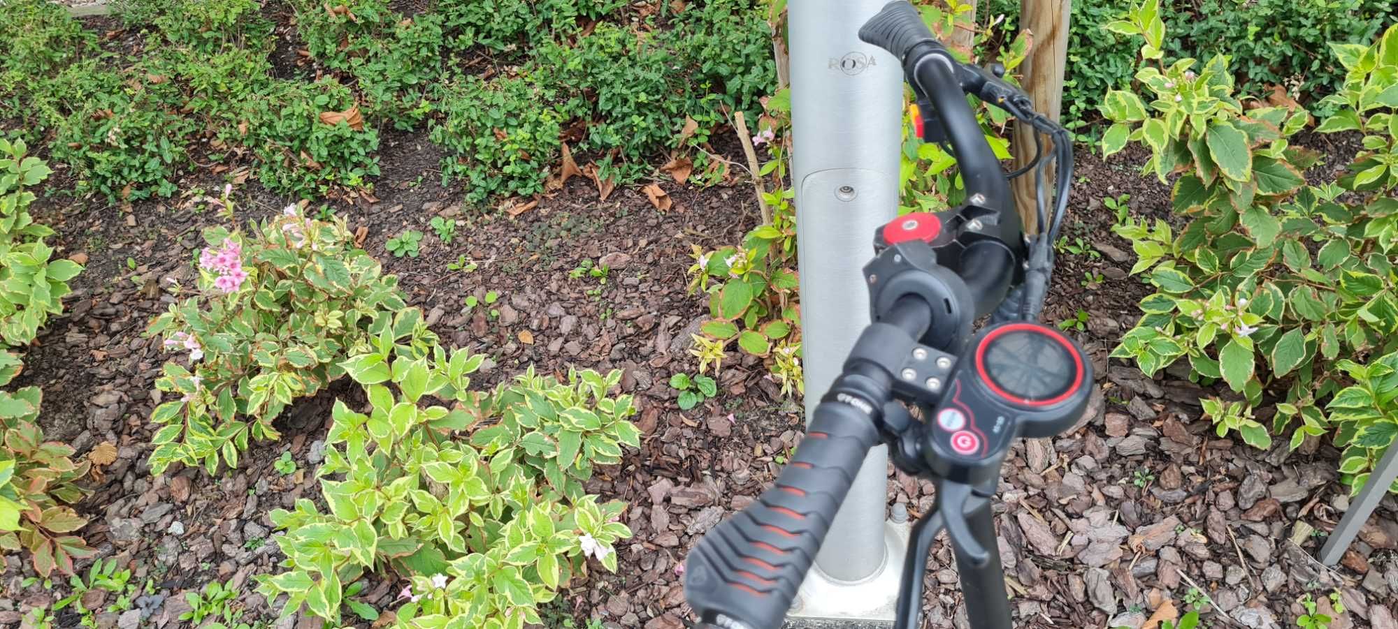 Hulajnoga motus pro 10 sport