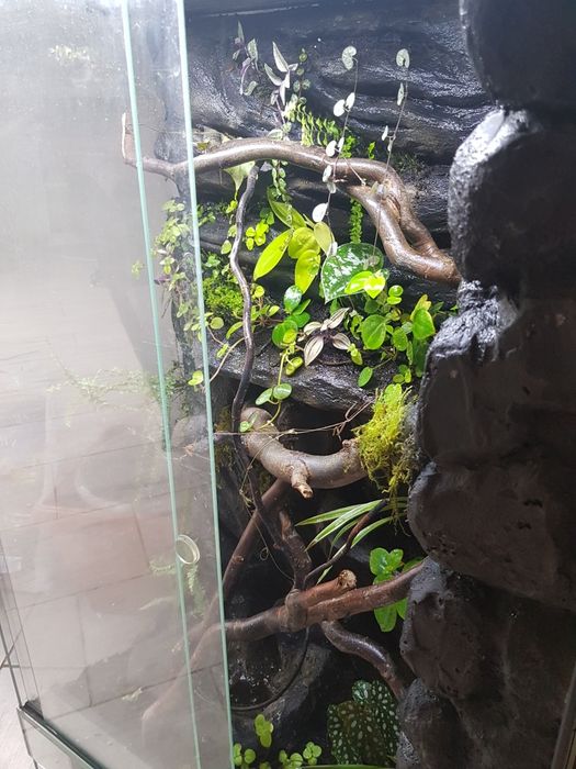 Terrarium 60x40x100cm