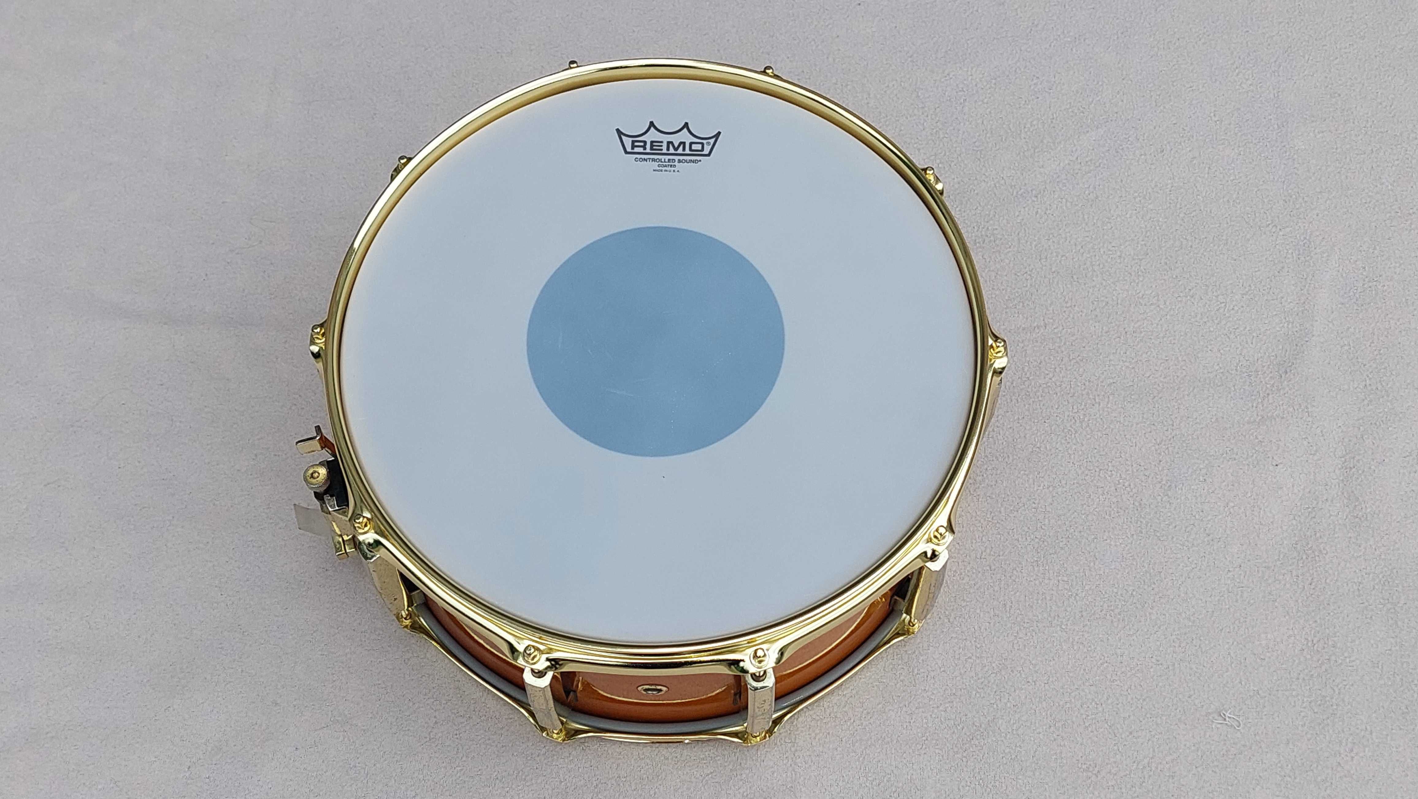 Werbel PEARL Custom CLASSICS One PIECE Maple Shell made in JAPAN