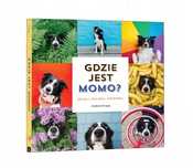 Gdzie jest Momo. Api Papi