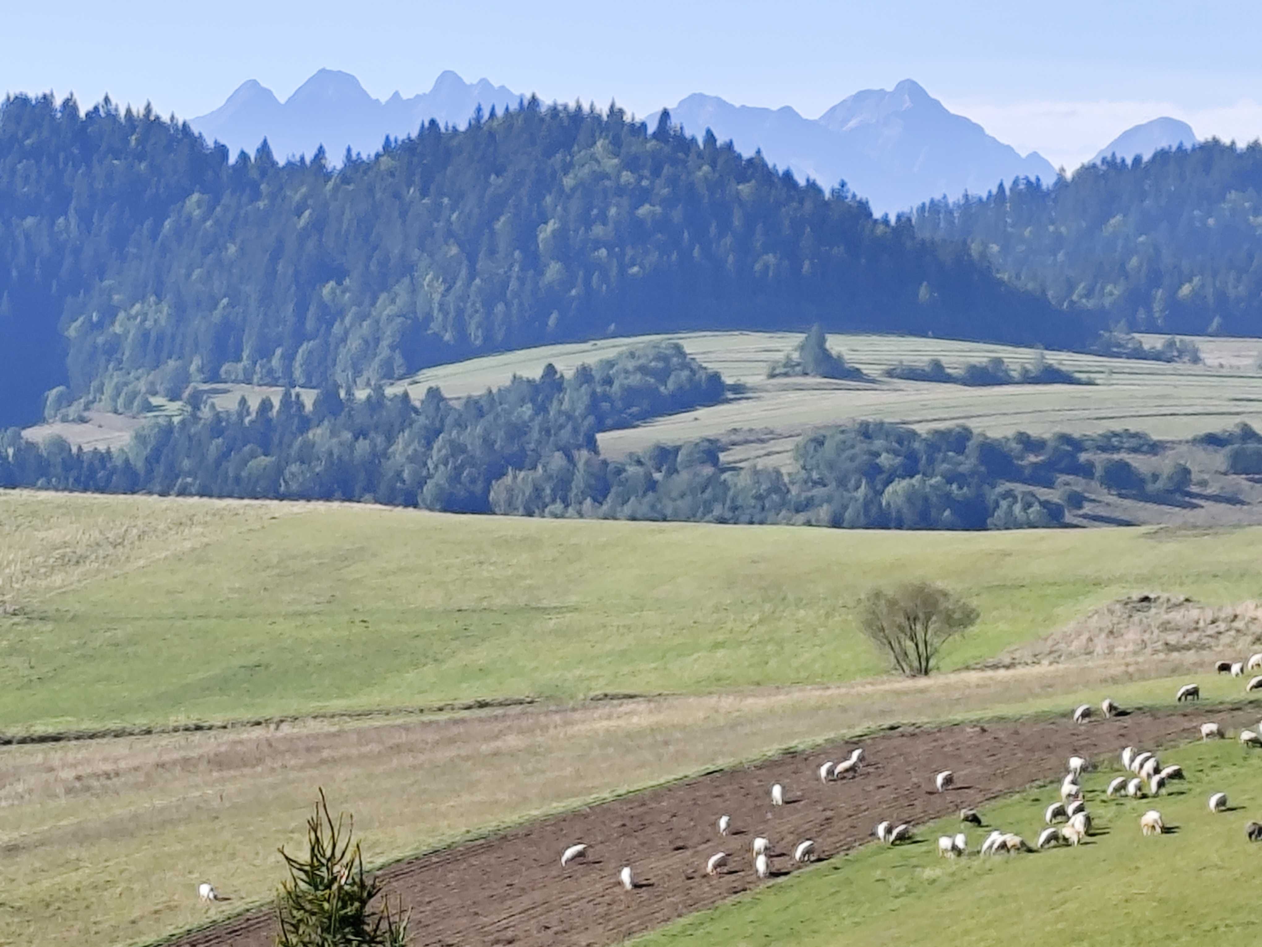 Nowy domek w górach z widokiem na Tatry i Pieniny. Cicha okolica