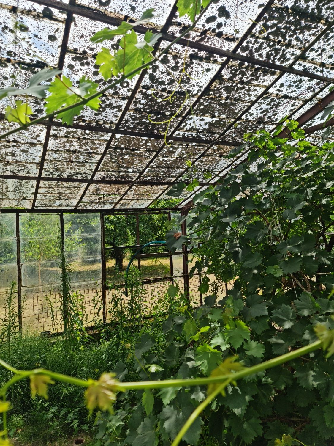 Konstrukcja wiaty 15x7m