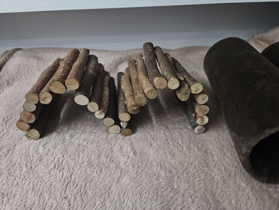 Mostek drewniany trixie tunel kawia świnka  morska chomik królik