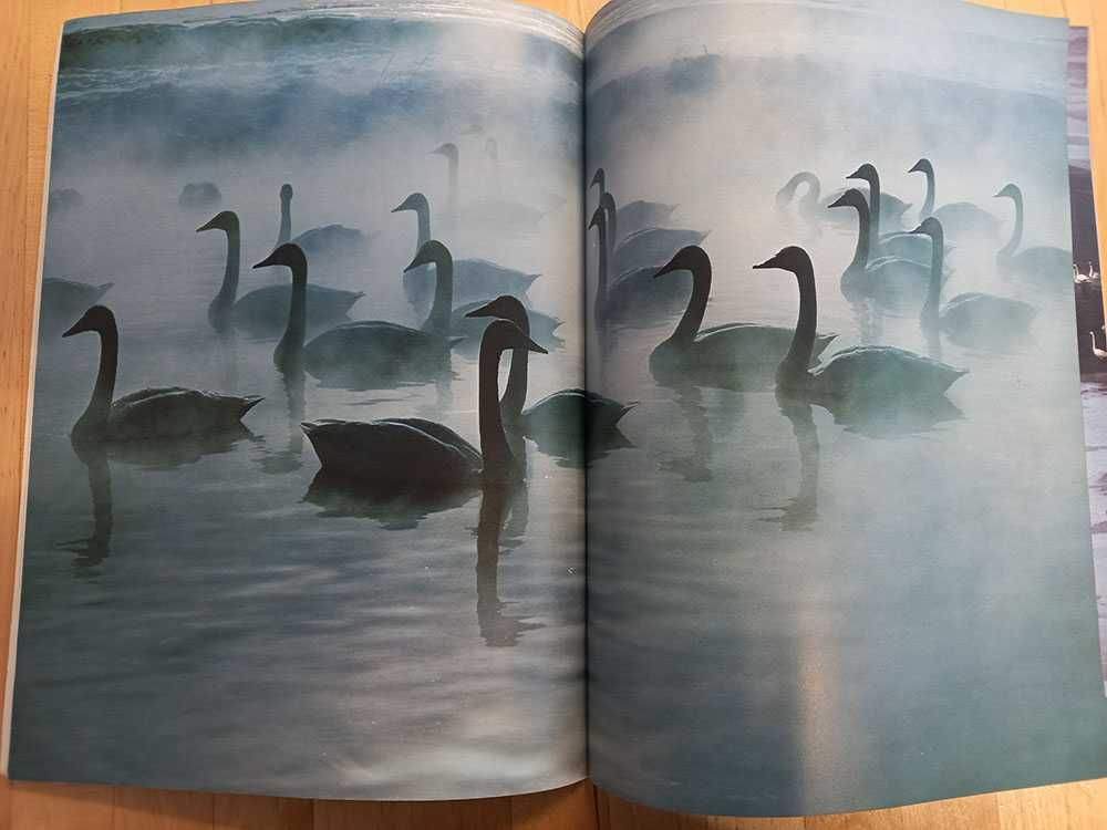 Revistas francesas Double Page