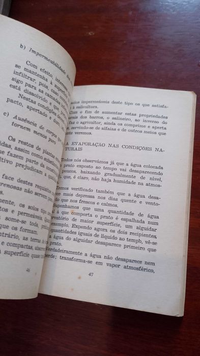 O Sal 1966 João Ferreira da Silva